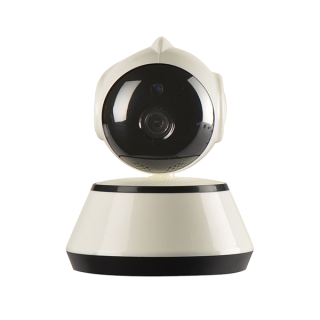 Suspendisse gravida lacus varius