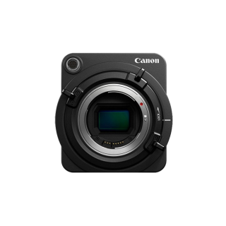 Phasellus varius turpis